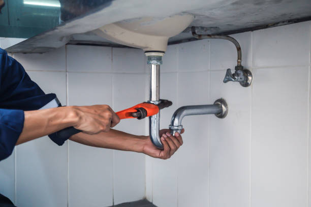 Best Sewer Line Repair  in Chester, IL